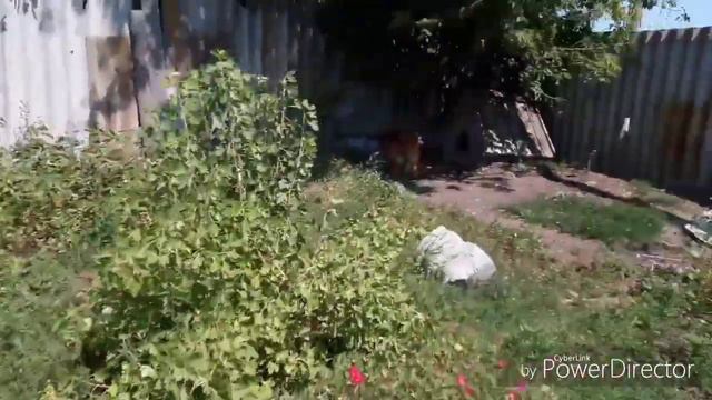 Деревня Простая жизнь Каракулевая шуба, вещи б/у, все понемногу Старая шуба Вещи из СССР