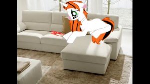 Пони клип "Она любила его, так сильно".