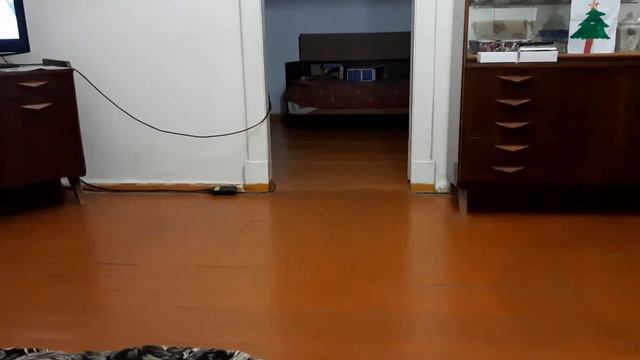 котопес🤣 не каждая собака так приносит предмет 😎 смотреть онлайн