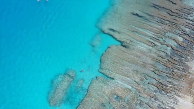 DOLPHIN AND WHALE SOUNDS WITH RELAXING MUSIC смотреть онлайн