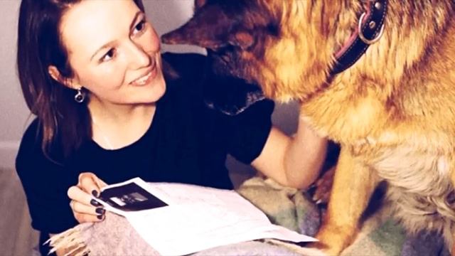 Семейная пара спасла собаку с улицы, а на утро их ждал неожиданный сюрприз! смотреть онлайн