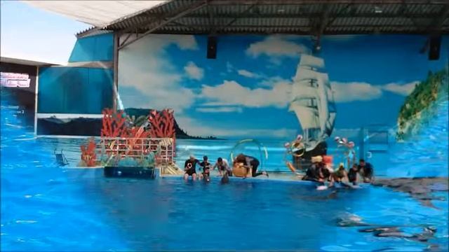 Дельфинотерапия Анапа смотреть онлайн