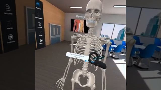 Anatomía del Sistema Esqueletico en VR! - 3D Organon Anatomy fundacionelhavictoria #FEV #anatomia 5 смотреть онлайн