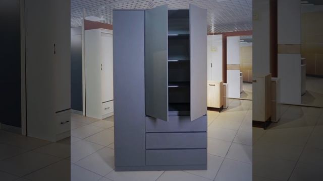 239868 МОРИ графит; Шкаф распашной.