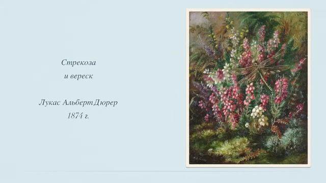 Картины с насекомыми смотреть онлайн