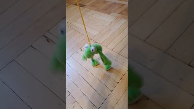 Лягушонок танцует(опять)