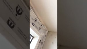 Как быстро снять старую защитную пленку с окон ПВХ