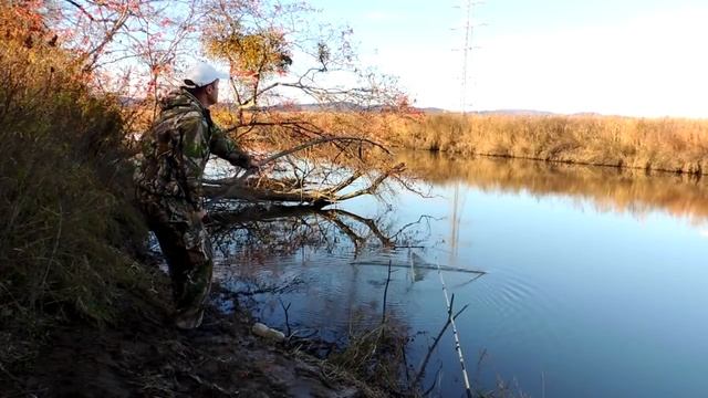 Рыбалка на Паук (Подъёмник) с Ночевкой! Готовлю Карасей на Костре! смотреть онлайн