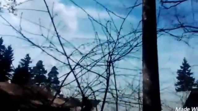 VLOG: 1 поездка на дачу 2017 смотреть онлайн