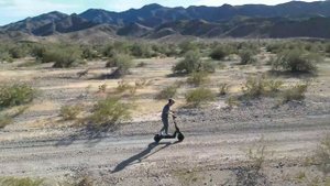 Okai Panther ES800 Off Road eScooter Electric Scooter Arizona