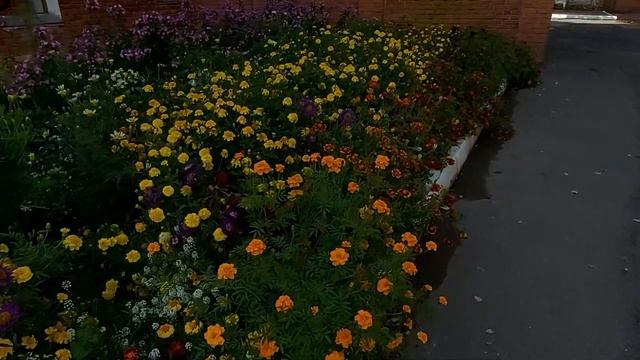 Избушка на курьих ножках посреди городской суеты смотреть онлайн