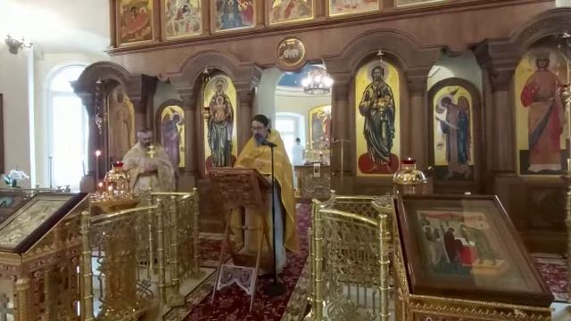 Приветствие протоиерея Даниила и проповедь архимандрита Филиппа в Неделю о Закхее смотреть онлайн