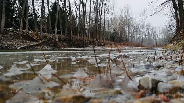 КАК БАРИН ВСЕХ ДЕВОК В ДЕРЕВНЕ ОПРИХОДОВАЛ. Интересные истории из жизни. Рассказы про барина. смотреть онлайн