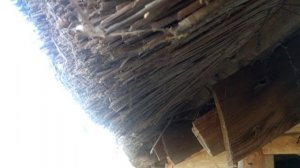 Камыш. Сколько он вам прослужит? Рогоз, тростник, 100% ЭКО!