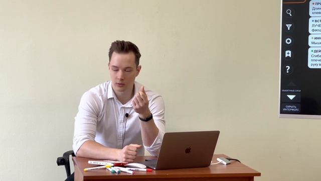 04 Мышцы туловища 2
