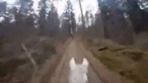 Сяду на коня и ускачу куда глаза глядят