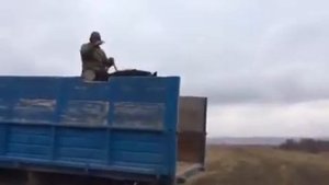 Карачаевский жеребец по кличке Бандит