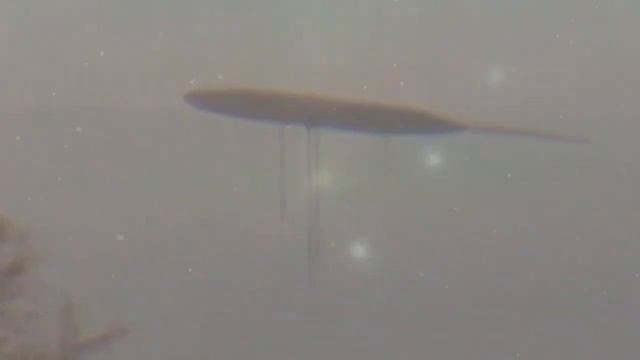 Кто летает на НЛО  Зачем круги на полях  В чём смысл жизни  Чертежи Мироздания от Небесной Семьи