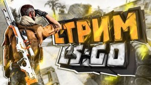 CS : Go стрим