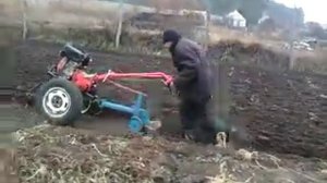 вспашка мотоблоком Нева 11А с плугом от тяжёлых мотоблоков