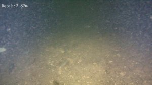 У берега Крылатого между ночных рыбаков, Братское водохранилище 08.2024.mp4