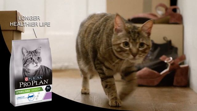 Purina® Pro Plan® смотреть онлайн