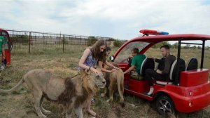 Ревнивая ЛОЛА  ! Крым.Тайган