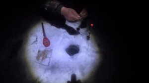 РЫБАЛКА НА ОБИ.ДУПЛЕТЫ ,ТРОЙНЫЕ ДУПЛЕТЫ ЛЕЩЕЙ.РЫБАЛКА НА КОМБАЙНЫ ЗИМОЙ.ОТКРЫЛСЯ ПО РЫБЕ