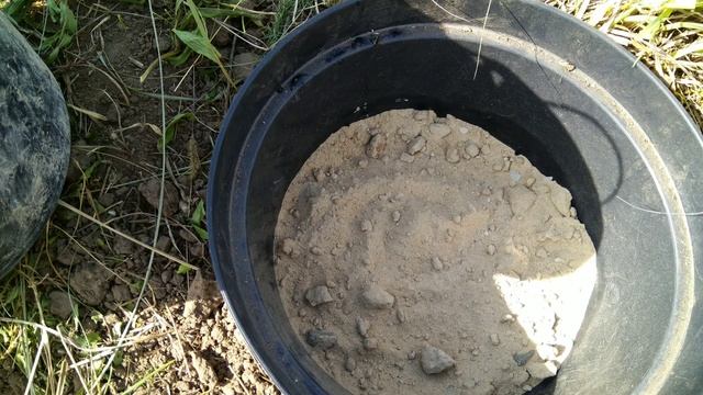 Голубика Блюкроп в контейнере. смотреть онлайн