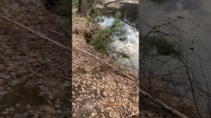 Рыбалка Зеленоград,рыбы нет ?