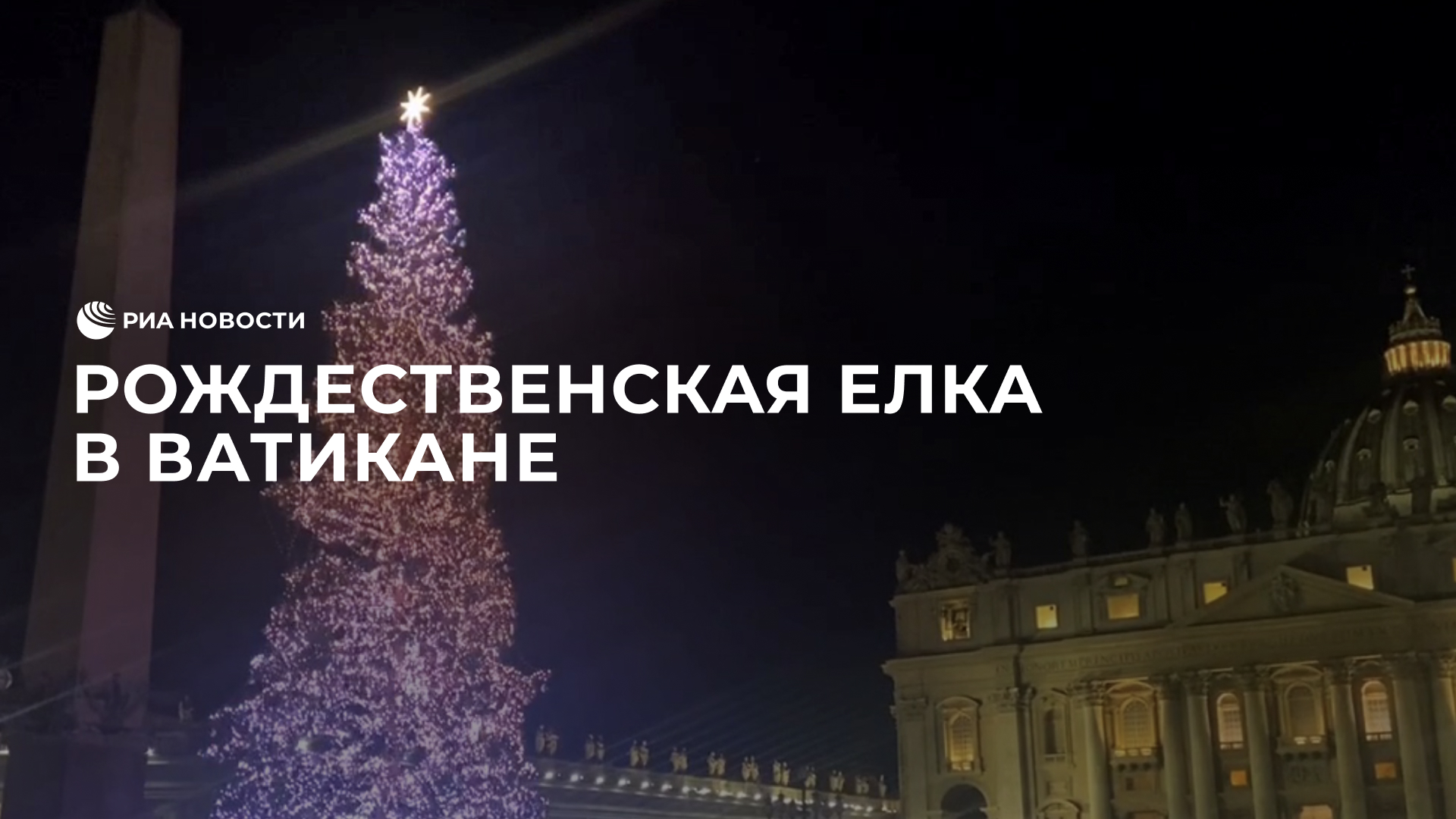 Рождественская елка в Ватикане