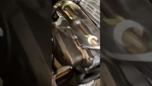 сравнение регульмото 003 300 и Рейсер 300