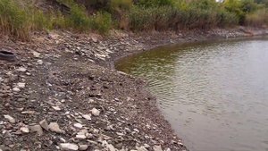Горловское море,третий залив.Открылся полуостров.