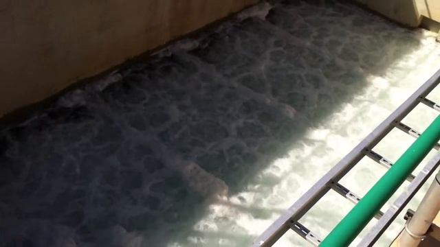 Swing Zone - Location for SOTR Testing смотреть онлайн