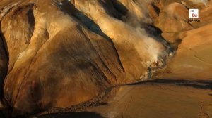 Эти Грибы Потрясут Ваше Воображение