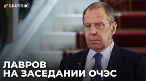 Лавров проводит онлайн-встречу со странами Черноморского региона 