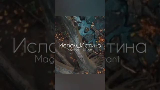 Каким должен быть мусульманин??? #Ислам #истина #вера #мусульман #Религия
