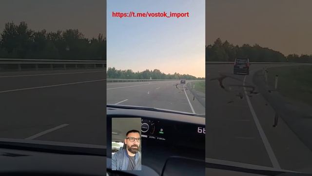 Перегон nissan serena, Владивосток - Москва #автоперегон #автоподзаказ #автоподбор #автосаукционов