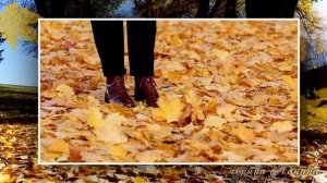 Песня Осень жизни. Музыка ОСЕНИ. Лучшие песни. Песня которую нужно послушать.
