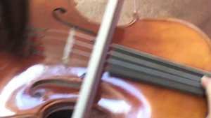 Ifstrings Private Stock Classic #163 Guarneri del Gesu 1743 "Cannone"