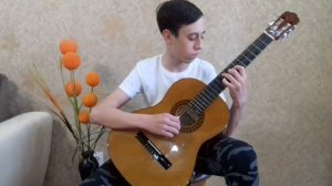 Этюд №5 Мауро Джулиани | Etud №5 Mauro Giuliani