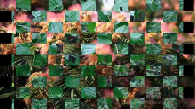 Girdani Гирдани