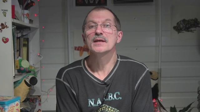 Что нельзя делать в лесу? смотреть онлайн