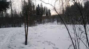 Начало (интро)