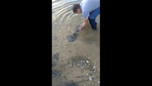 Мотопомпа своими руками для очистки пруда.