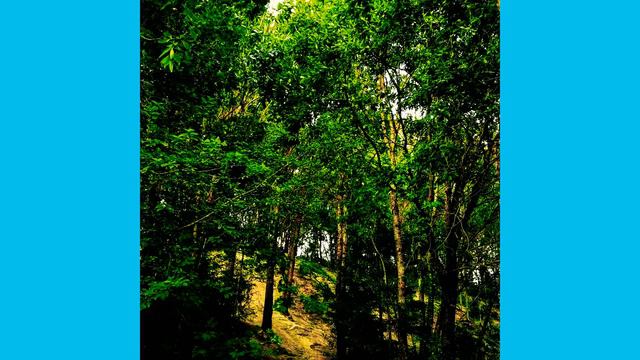 Bit or bite смотреть онлайн