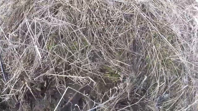 ЭТО НЕВЕРОЯТНО! 400кг! ПОБИТ ЛИЧНЫЙ РЕКОРД МЕТАЛЛОКОПА В 2021 ГОДУ! смотреть онлайн