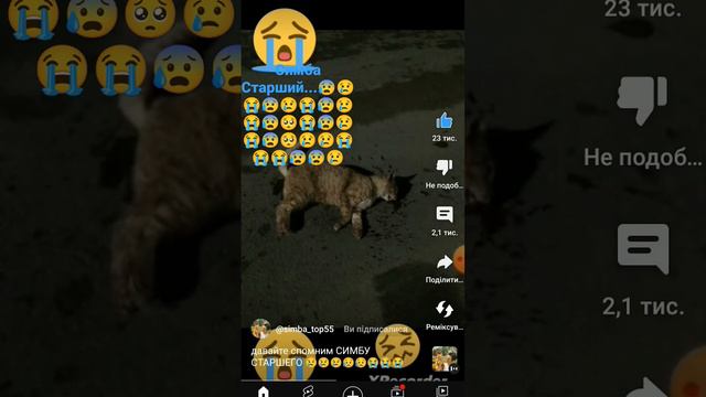 СИМБА СТАРШИЙ 😭😭😭😭😭😭😭😭😭😭😭😭😭😭😭😭😭😭😭😭😭😭😭😭😭😭😭😭😭😭😭😭😭😭😭😭😭😭😭😭😭😭😭😭😭😭😭😭😭😭😭😭😭😭😭😭😭😭😭😭😭😭😭😭😭😭😭😭😭😭😭😭😭😭😭😭😭😭😭😭😭😭😭😭😭 смотреть онлайн