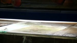 ДИСКУСЫ. Aquarists of Russia Рыборазводня "Кристалл" , kristall-discus