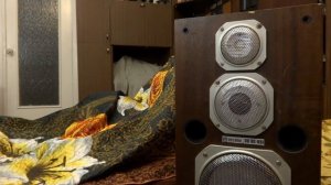 Эстония 35ас-021 звучание